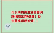 什么动物要用益生菌调理(提高动物健康！益生菌成调理关键！)