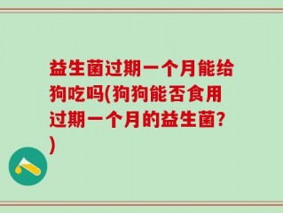 益生菌过期一个月能给狗吃吗(狗狗能否食用过期一个月的益生菌？)