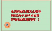 兔饲料益生菌怎么喂养视频(兔子怎样才能更好地吃益生菌饲料？)