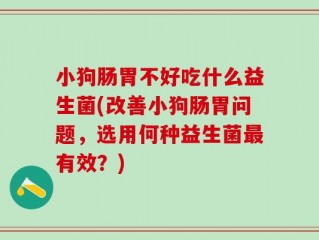小狗肠胃不好吃什么益生菌(改善小狗肠胃问题，选用何种益生菌最有效？)