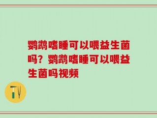 鹦鹉嗜睡可以喂益生菌吗？鹦鹉嗜睡可以喂益生菌吗视频