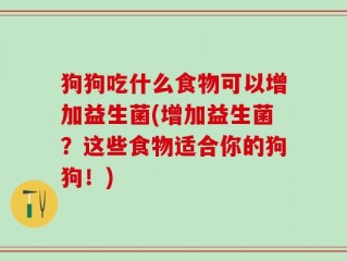 狗狗吃什么食物可以增加益生菌(增加益生菌？这些食物适合你的狗狗！)