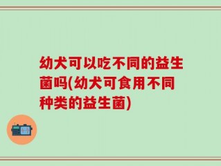 幼犬可以吃不同的益生菌吗(幼犬可食用不同种类的益生菌)