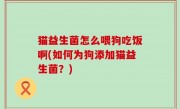 猫益生菌怎么喂狗吃饭啊(如何为狗添加猫益生菌？)