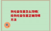 狗吐益生菌怎么饲喂(给狗吃益生菌正确饲喂方法