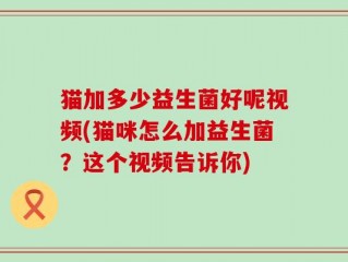 猫加多少益生菌好呢视频(猫咪怎么加益生菌？这个视频告诉你)