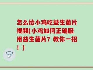 怎么给小鸡吃益生菌片视频(小鸡如何正确服用益生菌片？教你一招！)