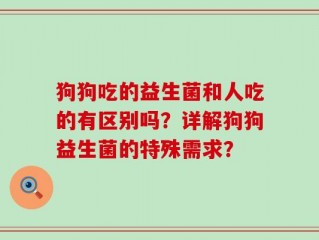 狗狗吃的益生菌和人吃的有区别吗？详解狗狗益生菌的特殊需求？