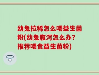 幼兔拉稀怎么喂益生菌粉(幼兔腹泻怎么办？推荐喂食益生菌粉)