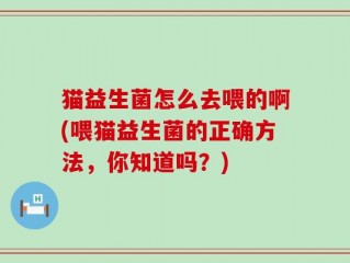 猫益生菌怎么去喂的啊(喂猫益生菌的正确方法，你知道吗？)