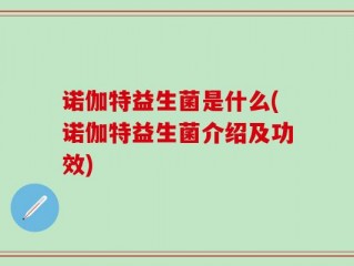 诺伽特益生菌是什么(诺伽特益生菌介绍及功效)