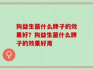 狗益生菌什么牌子的效果好？狗益生菌什么牌子的效果好用