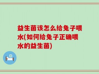 益生菌该怎么给兔子喂水(如何给兔子正确喂水的益生菌)
