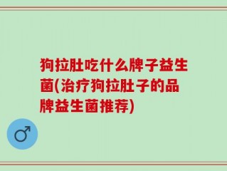 狗拉肚吃什么牌子益生菌(治疗狗拉肚子的品牌益生菌推荐)