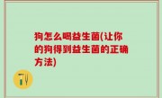 狗怎么喝益生菌(让你的狗得到益生菌的正确方法)