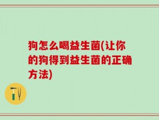狗怎么喝益生菌(让你的狗得到益生菌的正确方法)