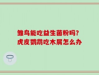 雏鸟能吃益生菌粉吗？虎皮鹦鹉吃木屑怎么办