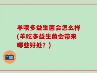 羊喂多益生菌会怎么样(羊吃多益生菌会带来哪些好处？)