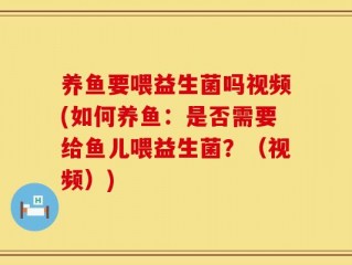 养鱼要喂益生菌吗视频(如何养鱼：是否需要给鱼儿喂益生菌？（视频）)