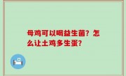 母鸡可以喝益生菌？怎么让土鸡多生蛋？