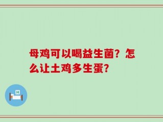 母鸡可以喝益生菌？怎么让土鸡多生蛋？