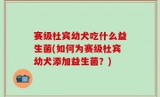赛级杜宾幼犬吃什么益生菌(如何为赛级杜宾幼犬添加益生菌？)