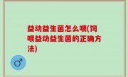 益动益生菌怎么喂(饲喂益动益生菌的正确方法)