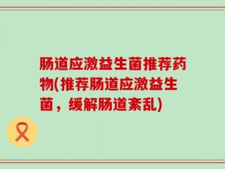 肠道应激益生菌推荐药物(推荐肠道应激益生菌，缓解肠道紊乱)