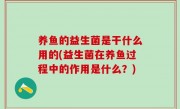 养鱼的益生菌是干什么用的(益生菌在养鱼过程中的作用是什么？)