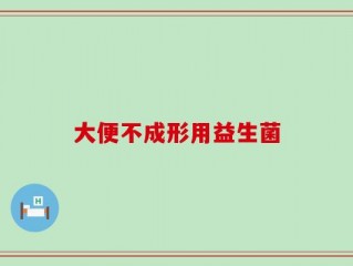 大便不成形用益生菌