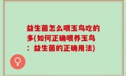 益生菌怎么喂玉鸟吃的多(如何正确喂养玉鸟：益生菌的正确用法)