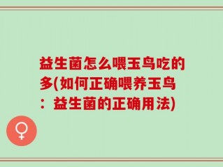 益生菌怎么喂玉鸟吃的多(如何正确喂养玉鸟：益生菌的正确用法)