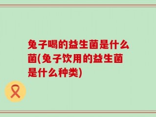 兔子喝的益生菌是什么菌(兔子饮用的益生菌是什么种类)