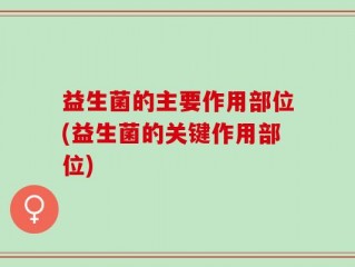 益生菌的主要作用部位(益生菌的关键作用部位)