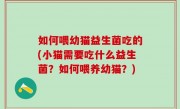 如何喂幼猫益生菌吃的(小猫需要吃什么益生菌？如何喂养幼猫？)