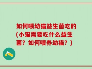 如何喂幼猫益生菌吃的(小猫需要吃什么益生菌？如何喂养幼猫？)