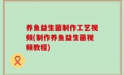 养鱼益生菌制作工艺视频(制作养鱼益生菌视频教程)