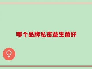 哪个品牌私密益生菌好