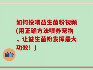 如何投喂益生菌粉视频(用正确方法喂养宠物，让益生菌粉发挥最大功效！)