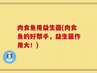 肉食鱼用益生菌(肉食鱼的好帮手，益生菌作用大！)