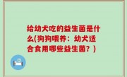给幼犬吃的益生菌是什么(狗狗喂养：幼犬适合食用哪些益生菌？)