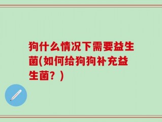 狗什么情况下需要益生菌(如何给狗狗补充益生菌？)