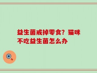 益生菌戒掉零食？猫咪不吃益生菌怎么办