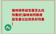 猫咪调养益生菌怎么吃效果好(猫咪如何服用益生菌以达到良好效果)
