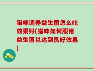 猫咪调养益生菌怎么吃效果好(猫咪如何服用益生菌以达到良好效果)