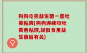 狗狗吃完益生菌一直吐黄粘液(狗狗连续呕吐黄色粘液,疑似食用益生菌后有关)
