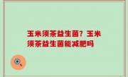 玉米须茶益生菌？玉米须茶益生菌能减肥吗