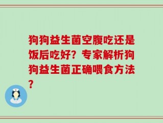 狗狗益生菌空腹吃还是饭后吃好？专家解析狗狗益生菌正确喂食方法？