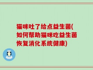 猫咪吐了给点益生菌(如何帮助猫咪吃益生菌恢复消化系统健康)