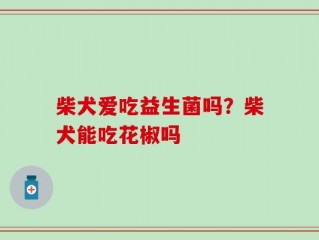 柴犬爱吃益生菌吗？柴犬能吃花椒吗